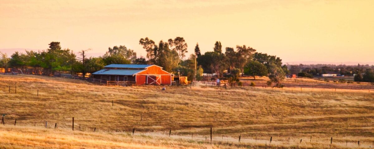 Family Farm