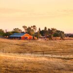 Family Farm