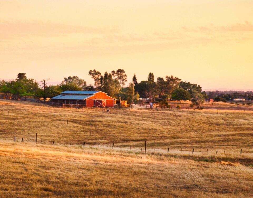 Family Farm