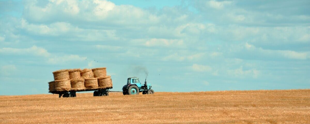 entrepreneur farmer