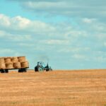 entrepreneur farmer